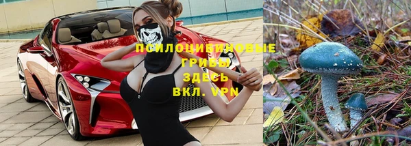 СК Абаза