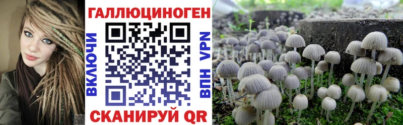 Галлюциногенные грибы Psilocybine cubensis  блэк спрут зеркало  Тюкалинск  продажа наркотиков 